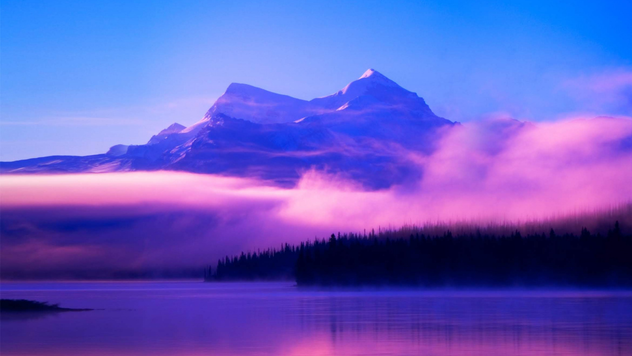 Обои Huawei, Honor Magic 2, честь magic2, смартфон, huawei honor 8x в разрешении 1280x720