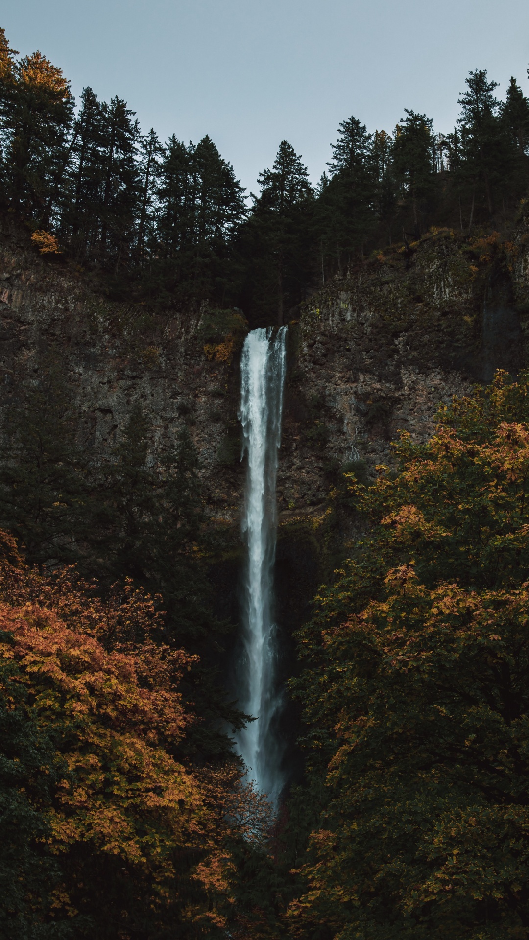 Обои природа, природный ландшафт, биом, водопад, вода в разрешении 1080x1920