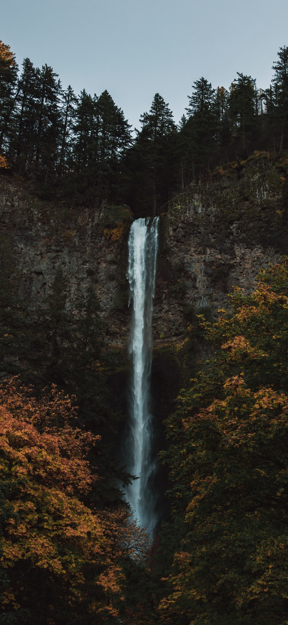 Обои природа, природный ландшафт, биом, водопад, вода в разрешении 1125x2436