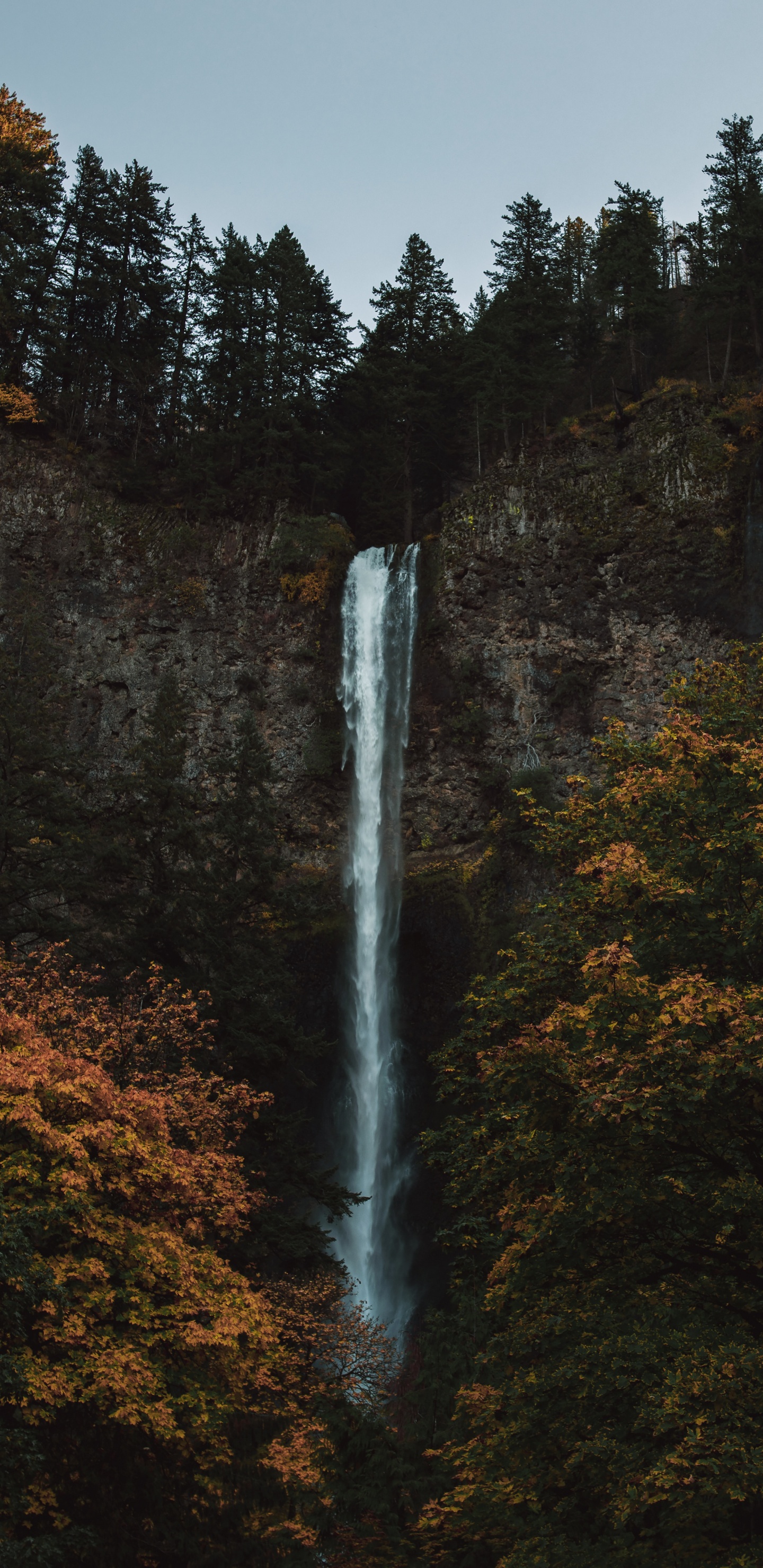 Обои природа, природный ландшафт, биом, водопад, вода в разрешении 1440x2960