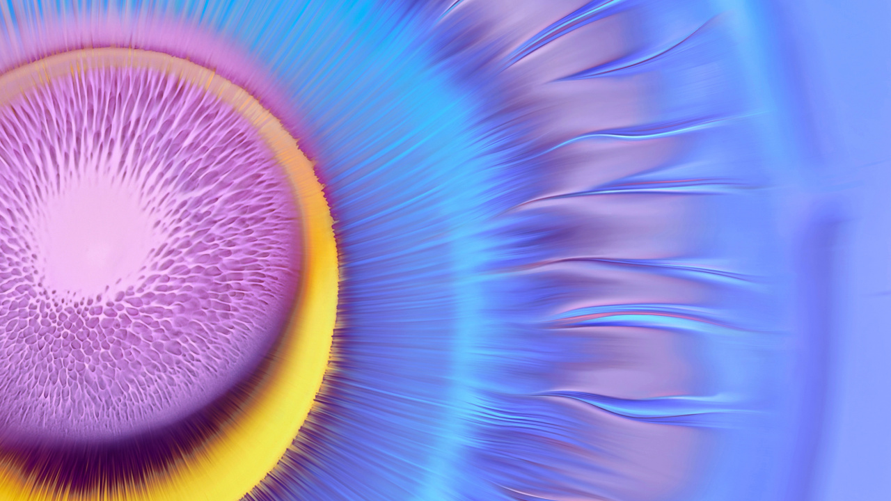 Обои Huawei, Huawei Mate, Huawei Mate 40 Pro, huawei mate 30, huawei mate 40 в разрешении 1280x720