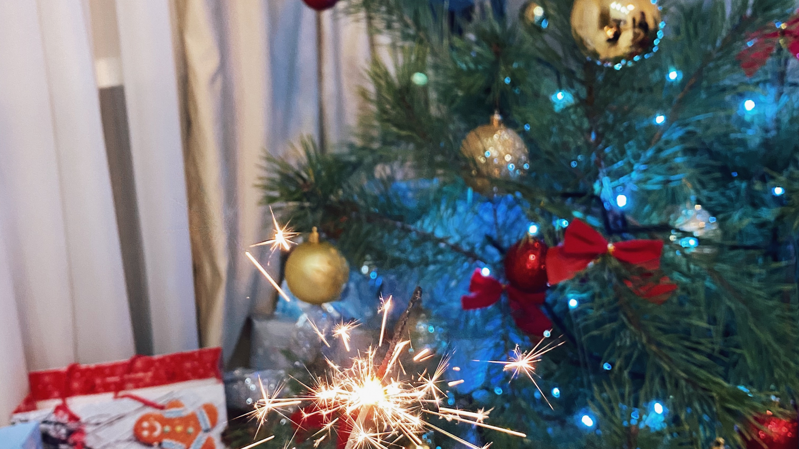 Обои Новый год, Рождество, Рождественский день, елка, пихта в разрешении 2560x1440