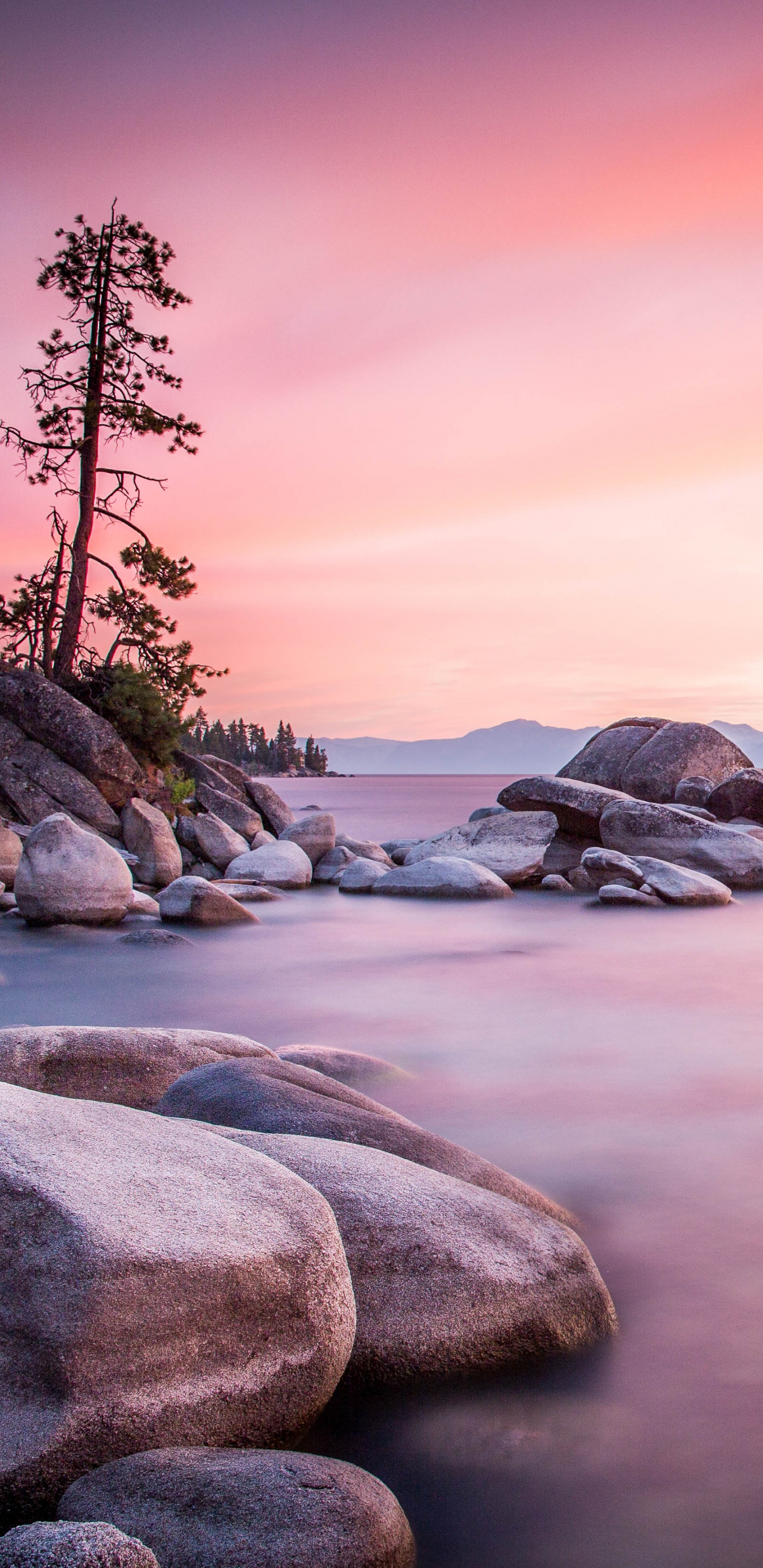 Обои берег, море, водоем, природа, природный ландшафт в разрешении 1440x2960