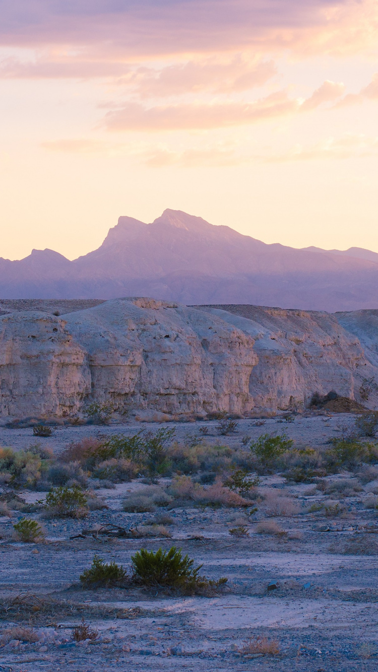 Обои бесплодные земли, гора, дикая местность, экорегион, кустарник в разрешении 750x1334