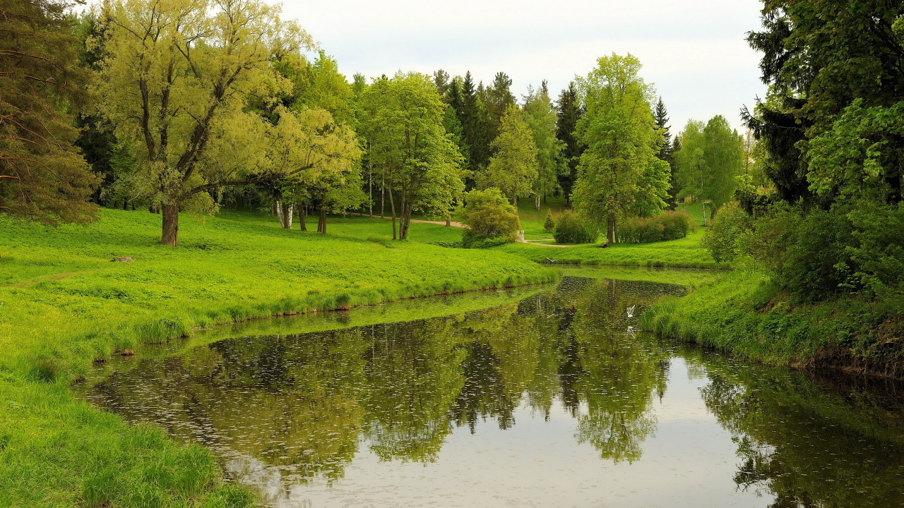 Обои природа, природный заповедник, отражение, дерево, Банк в разрешении 1280x720