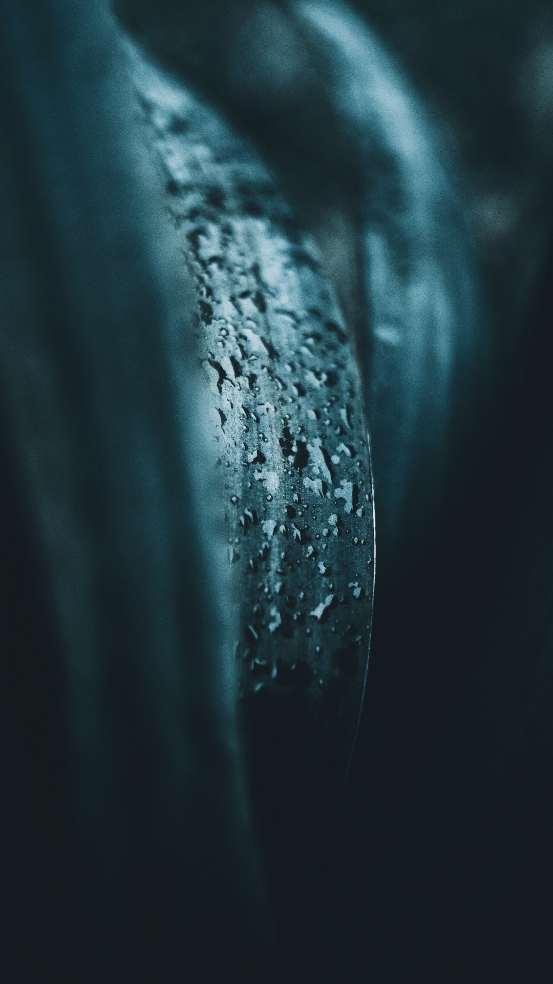 Обои синий, вода, темнота, бирюза, дерево в разрешении 1080x1920