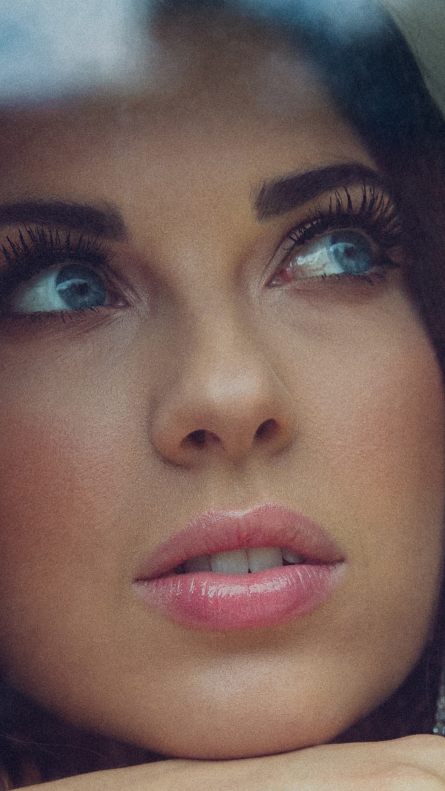 Обои щека, Хонки Tonker, голова, волосы, лицо в разрешении 1440x2560