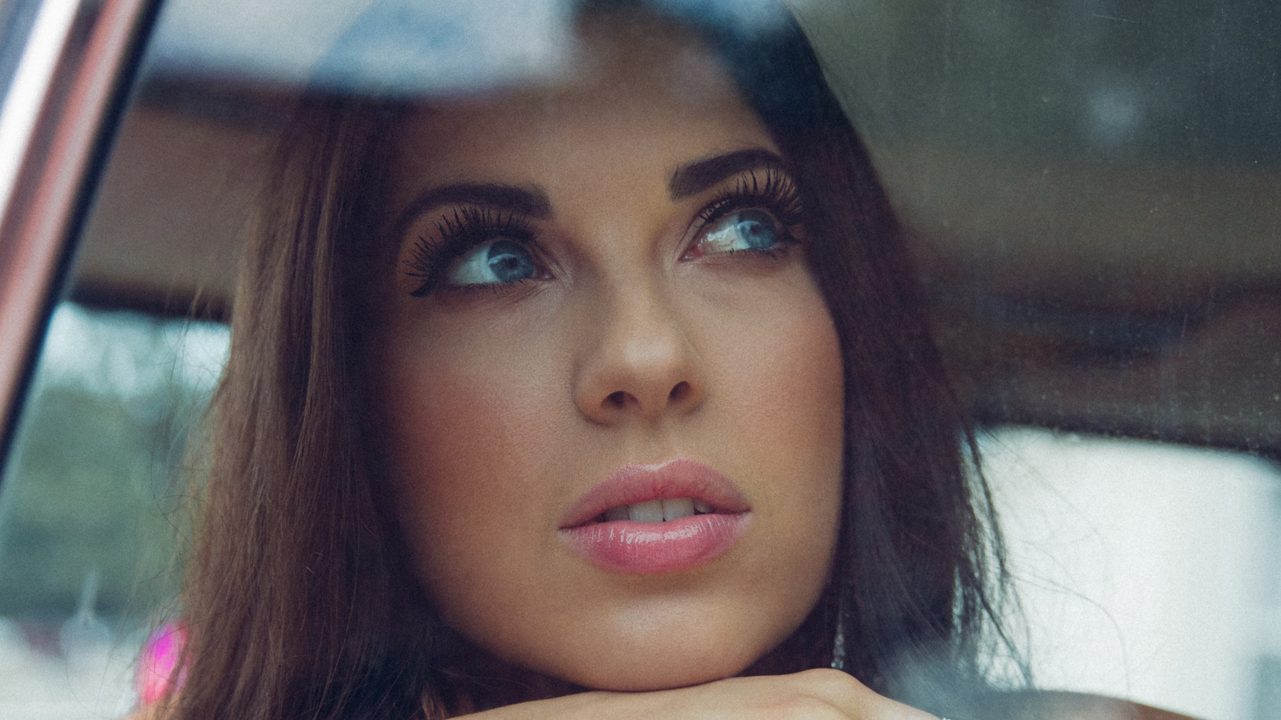 Обои щека, Хонки Tonker, голова, волосы, лицо в разрешении 2560x1440