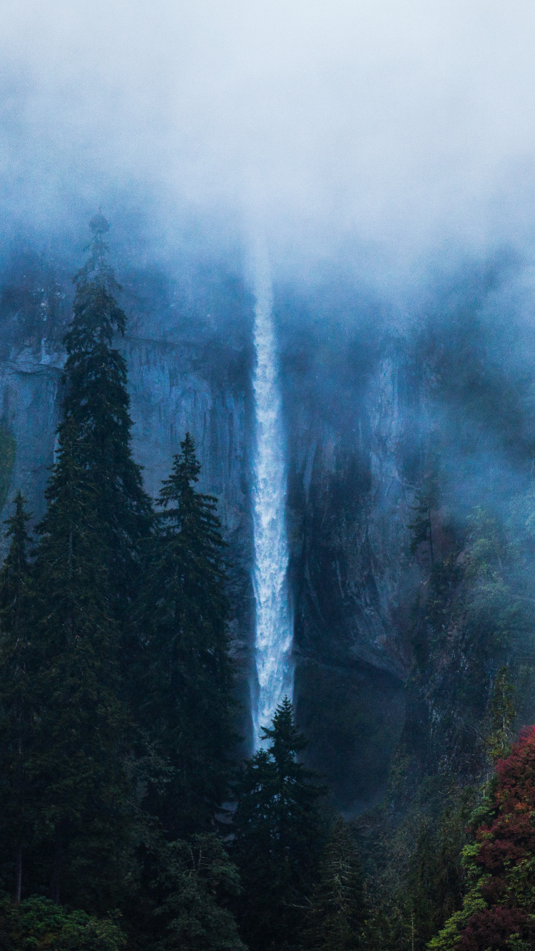 Обои природа, Черное море, Karagl, туман, лес в разрешении 750x1334