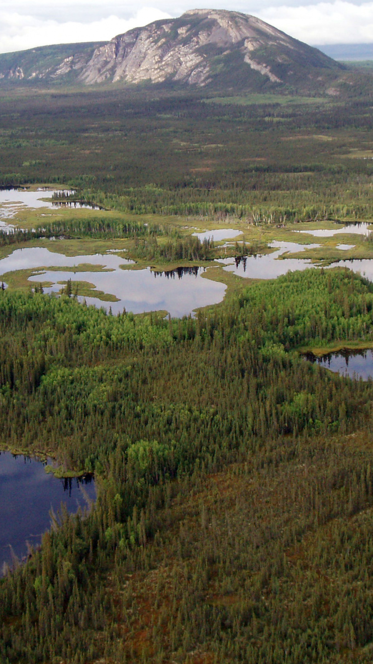 Обои Бореальные леса Канады, Канада, лес, Нефтяные пески Атабаски, Тайга в разрешении 750x1334