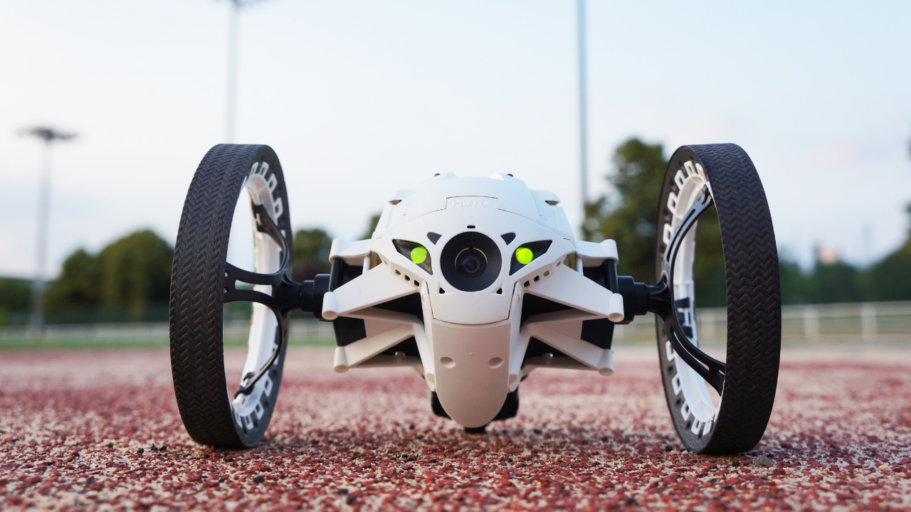 Обои попугай, авто, колесо, обод, автомобиль в разрешении 1280x720