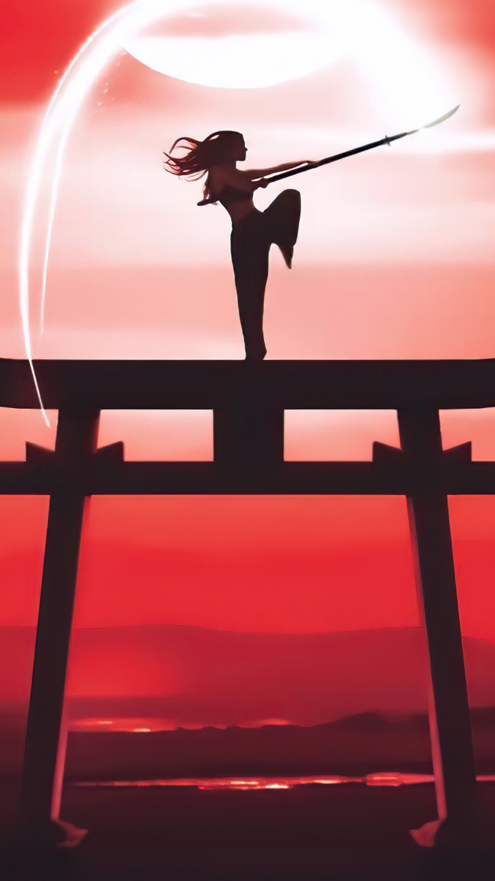 Обои восточные единоборства, боевое искусство, арт, смешанные боевые искусства, каратэ в разрешении 720x1280