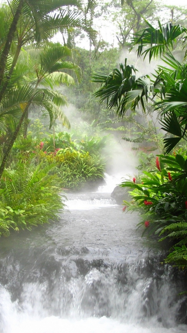 Обои растительность, природа, гидроресурсы, природный заповедник, водоем в разрешении 720x1280