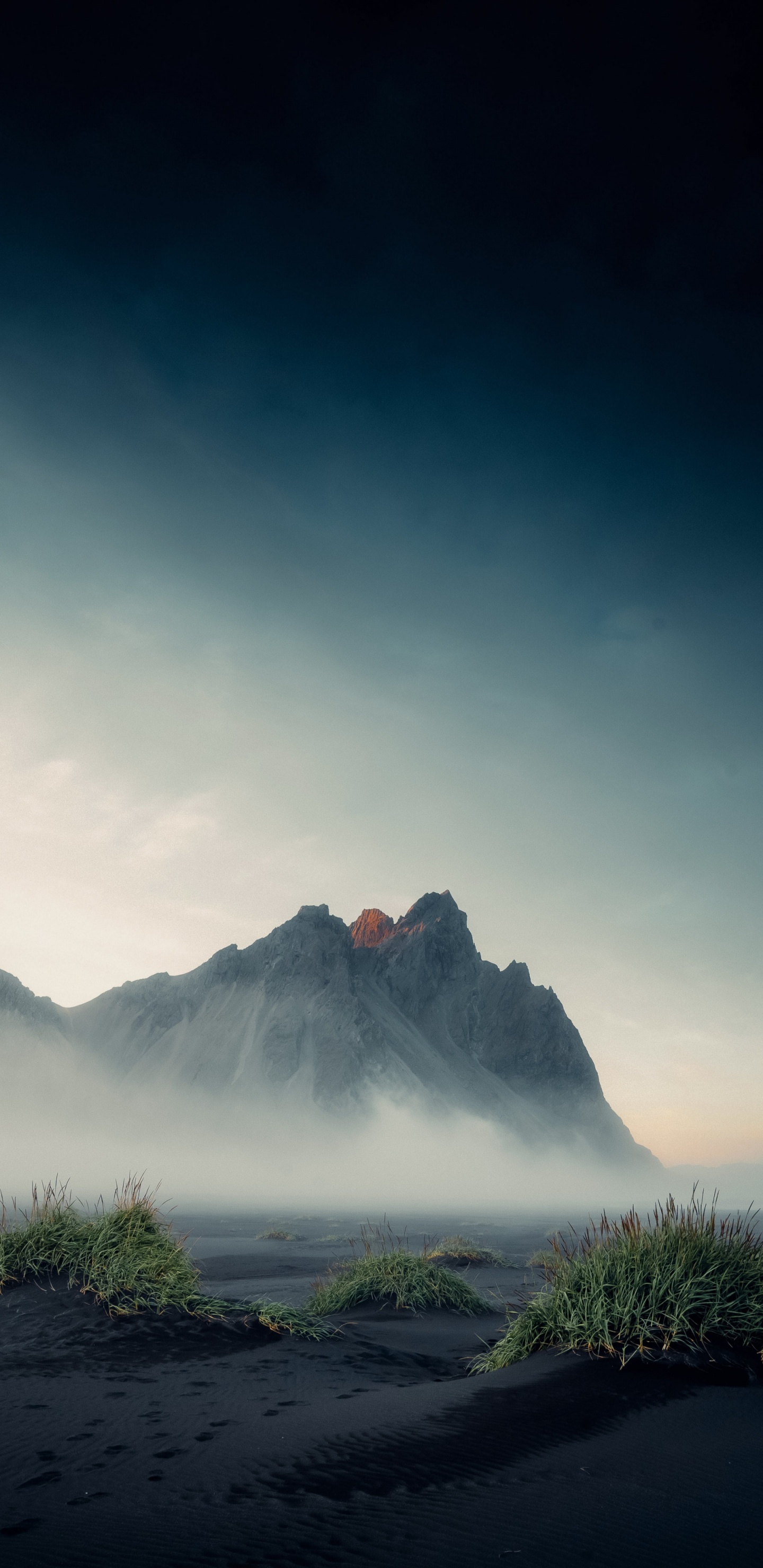 Обои зиндаги джеб лети хай, Hungama, облако, атмосфера, растение в разрешении 1440x2960