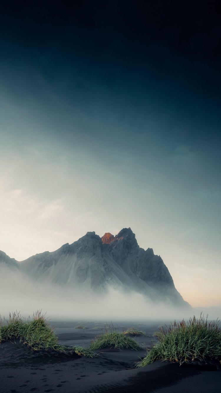 Обои зиндаги джеб лети хай, Hungama, облако, атмосфера, растение в разрешении 750x1334