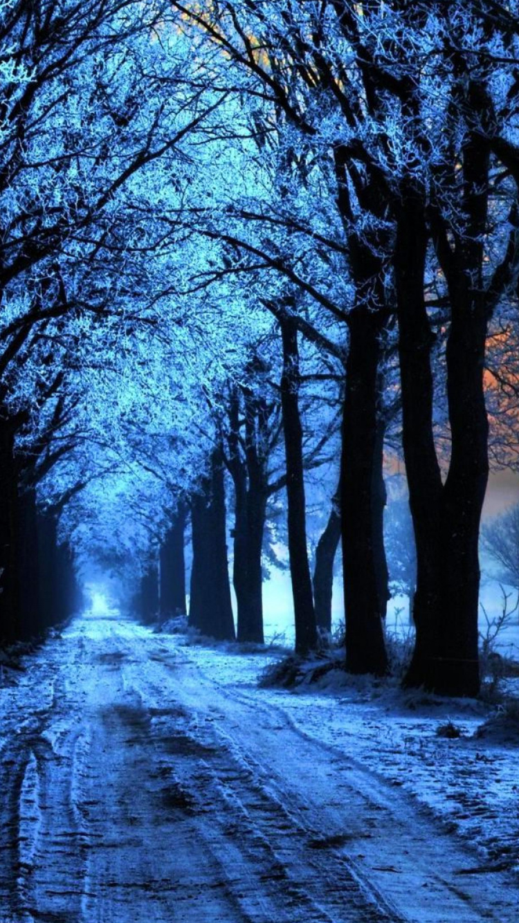 Обои дерево, зима, природа, снег, замораживание в разрешении 750x1334