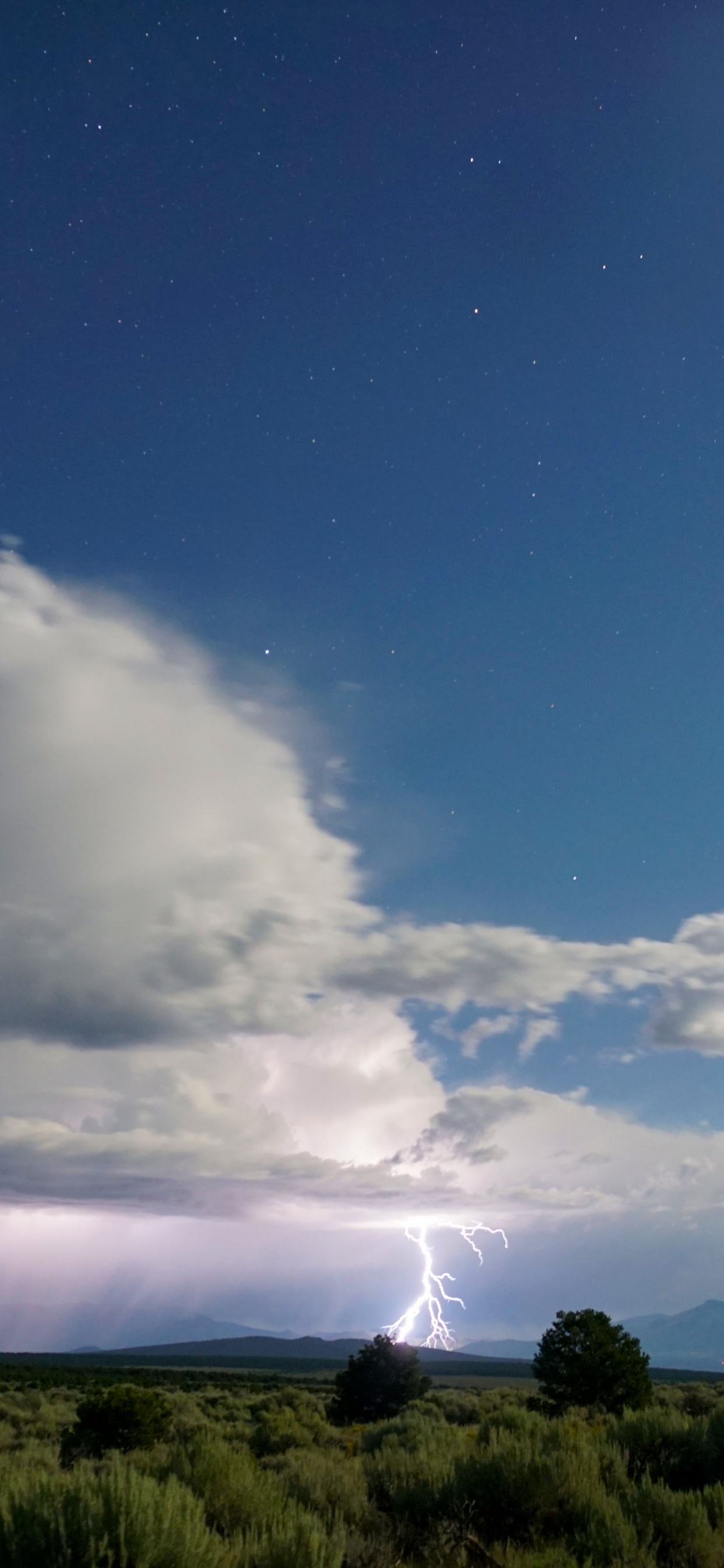 Обои облако, природа, кучевое облако, атмосфера, дневное время в разрешении 1242x2688