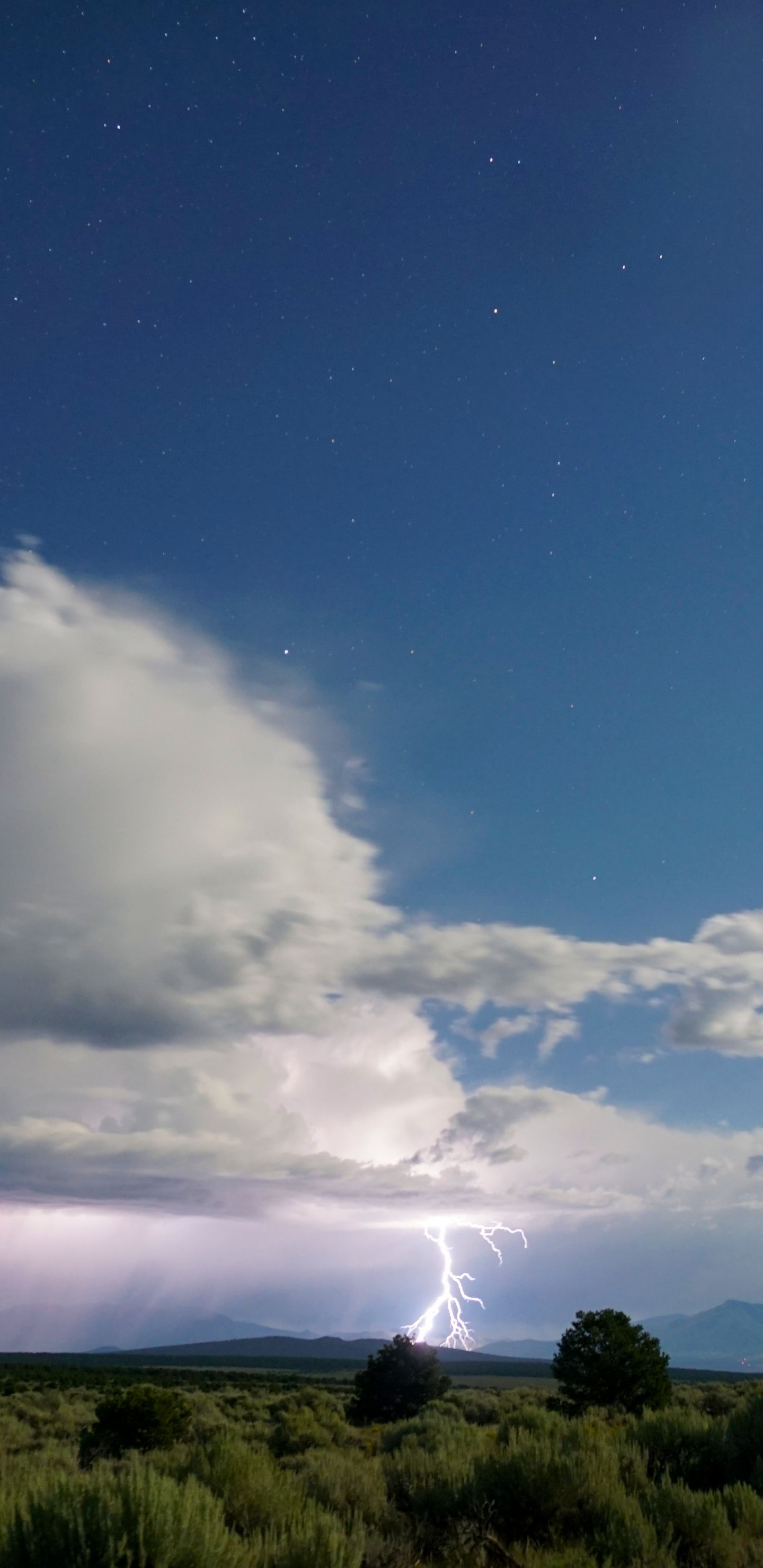 Обои облако, природа, кучевое облако, атмосфера, дневное время в разрешении 1440x2960