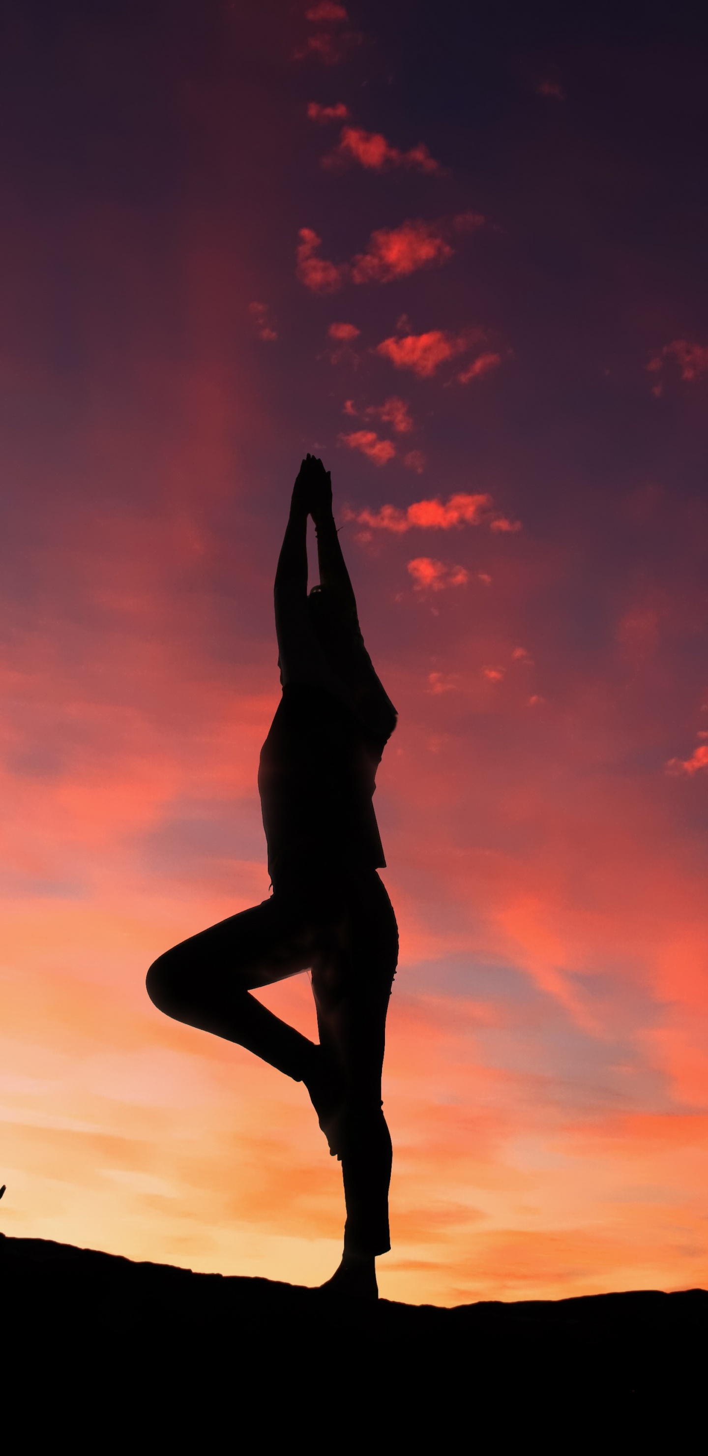 Обои силуэт, йога, медитация, физическая подготовка, закат в разрешении 1440x2960