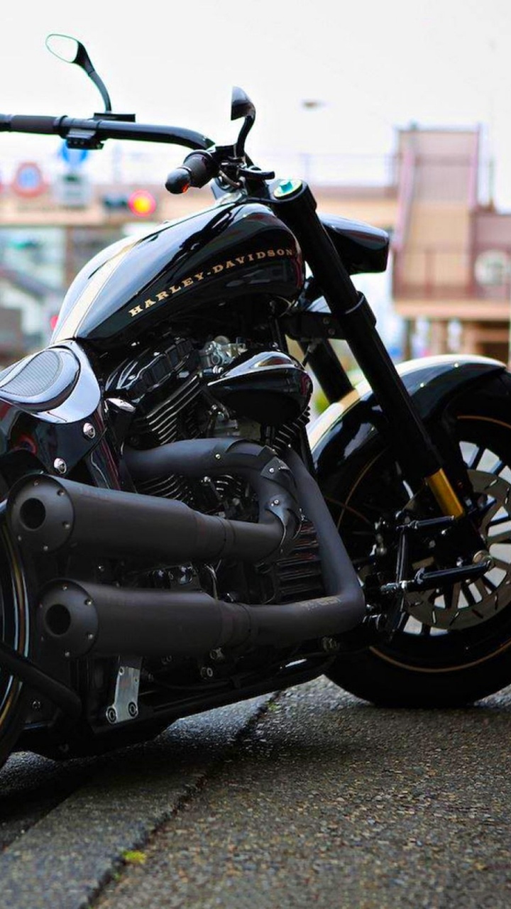 Обои Харлей Дэвидсон, мотоцикл, Чоппер, softail, автомобильные шины в разрешении 720x1280