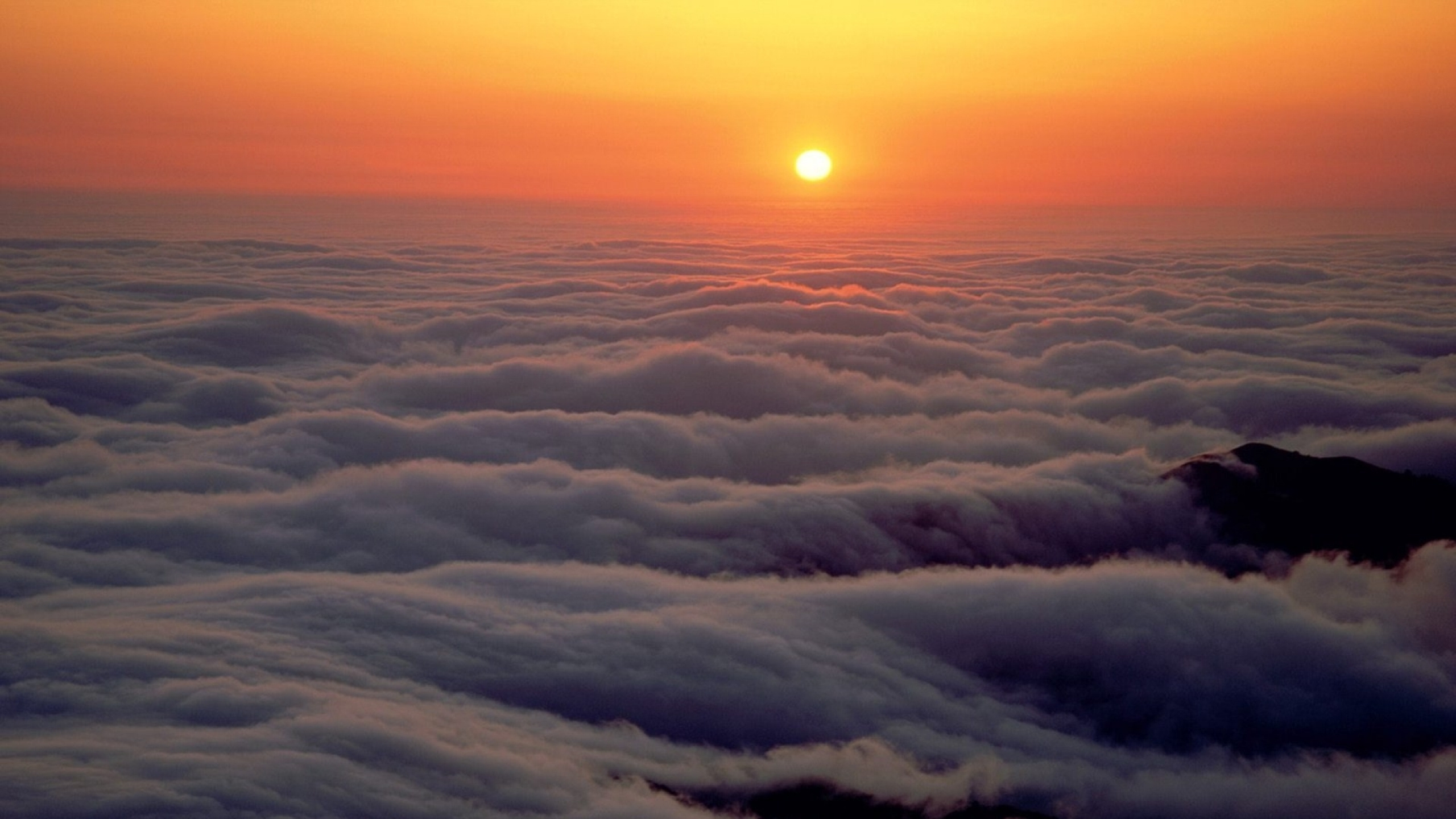 Обои облако, горизонт, атмосфера, послесвечение, утро в разрешении 2560x1440