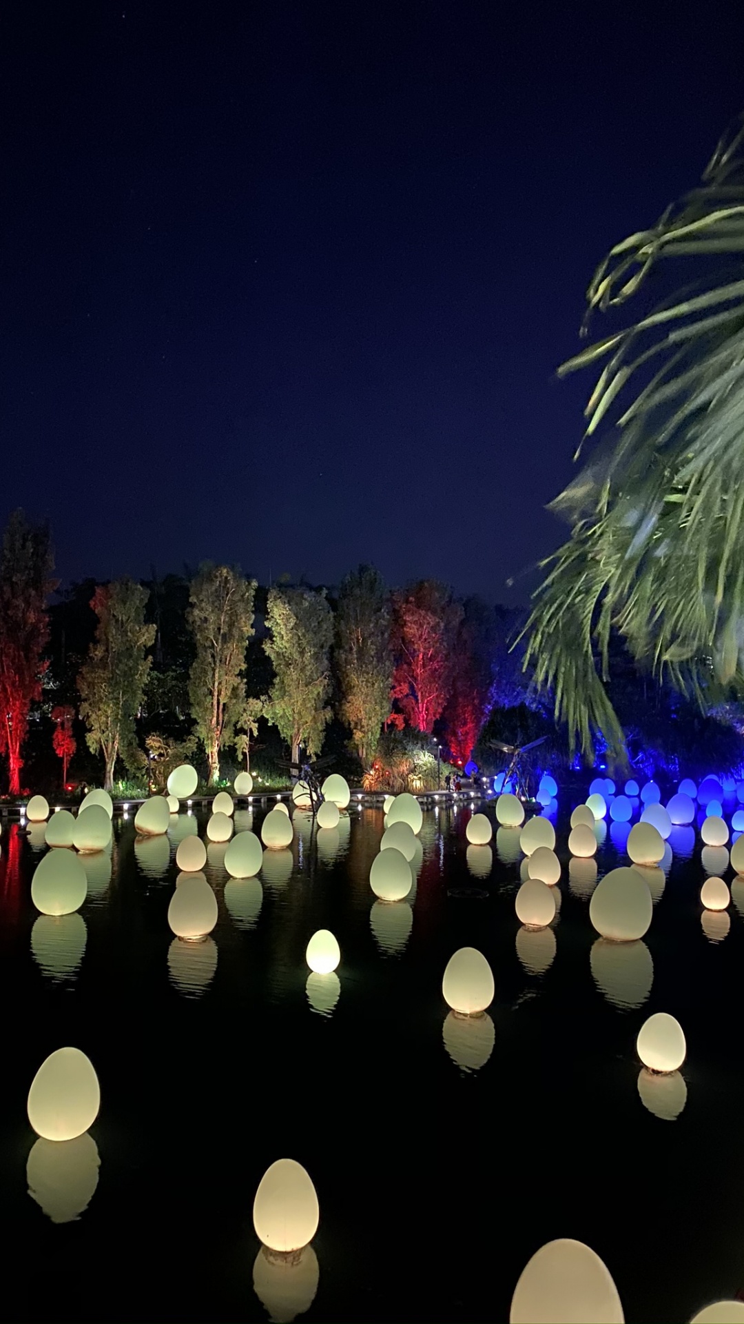 Обои Сингапур, отражение, ландшафтное освещение, наука, ночь в разрешении 1080x1920