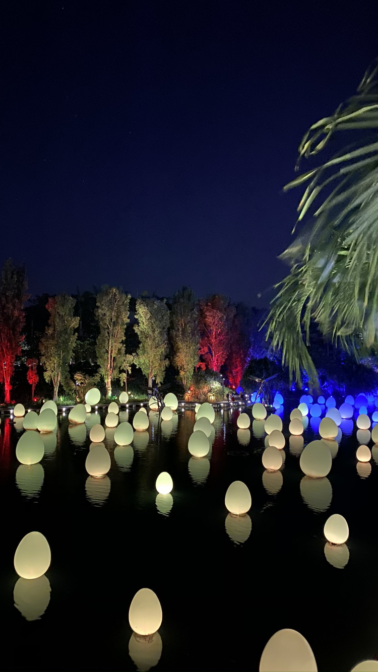 Обои Сингапур, отражение, ландшафтное освещение, наука, ночь в разрешении 750x1334