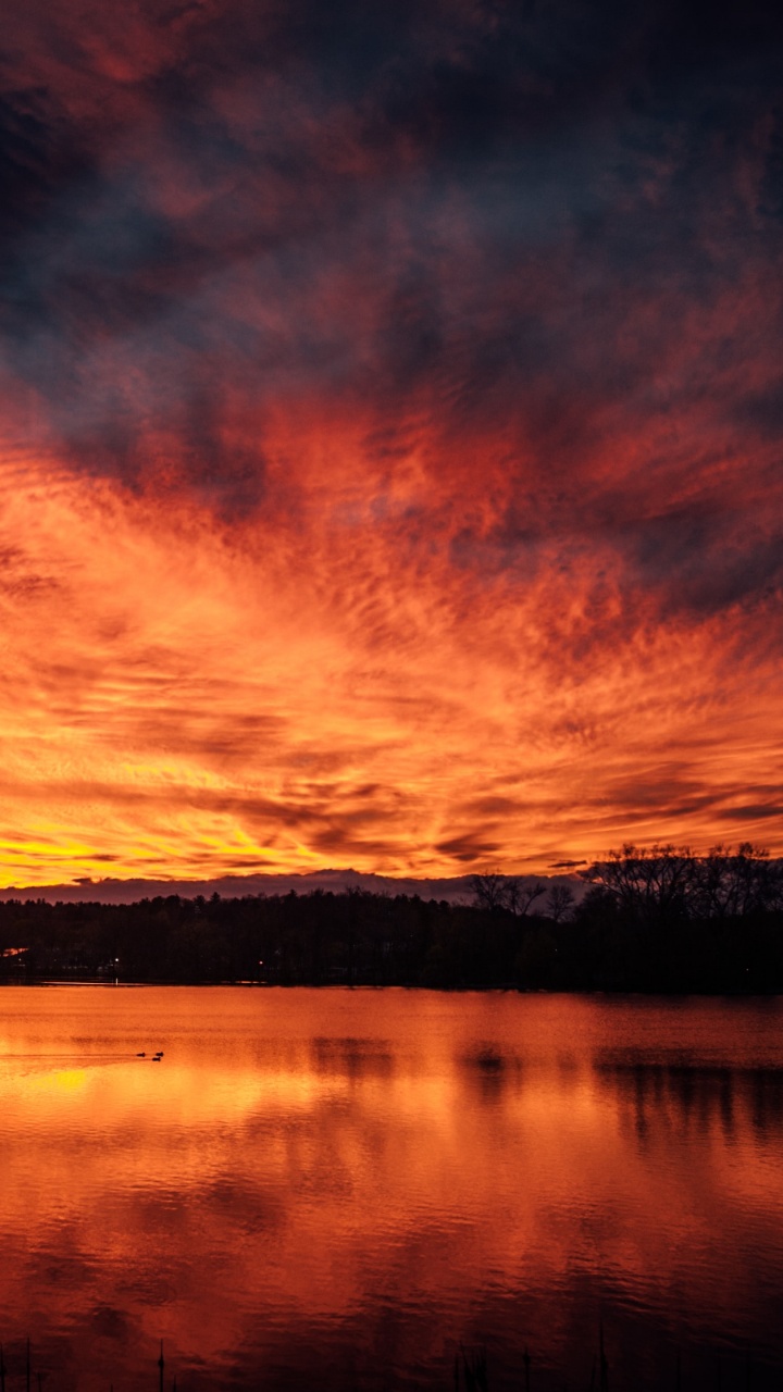 Обои закат, послесвечение, природа, отражение, природный ландшафт в разрешении 720x1280