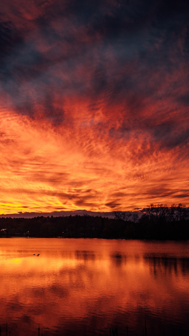 Обои закат, послесвечение, природа, отражение, природный ландшафт в разрешении 750x1334