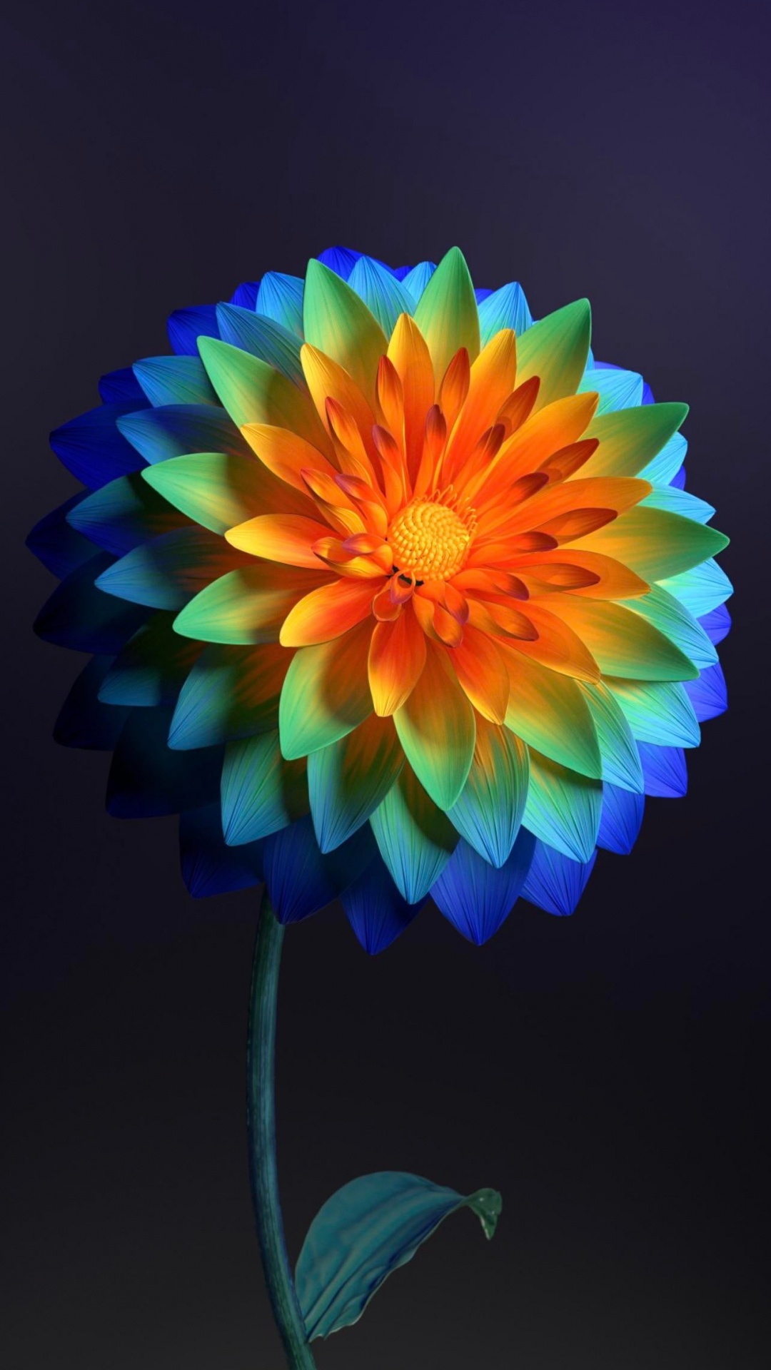 Обои Флора, цветок, растение, лепесток, искусство в разрешении 1080x1920