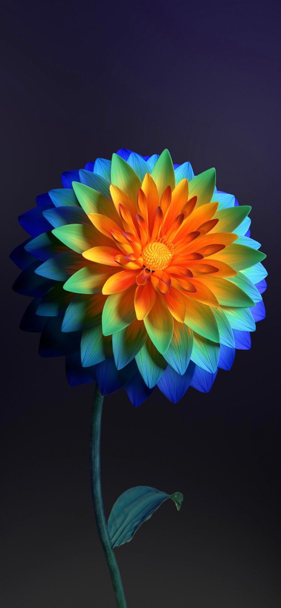 Обои Флора, цветок, растение, лепесток, искусство в разрешении 1125x2436