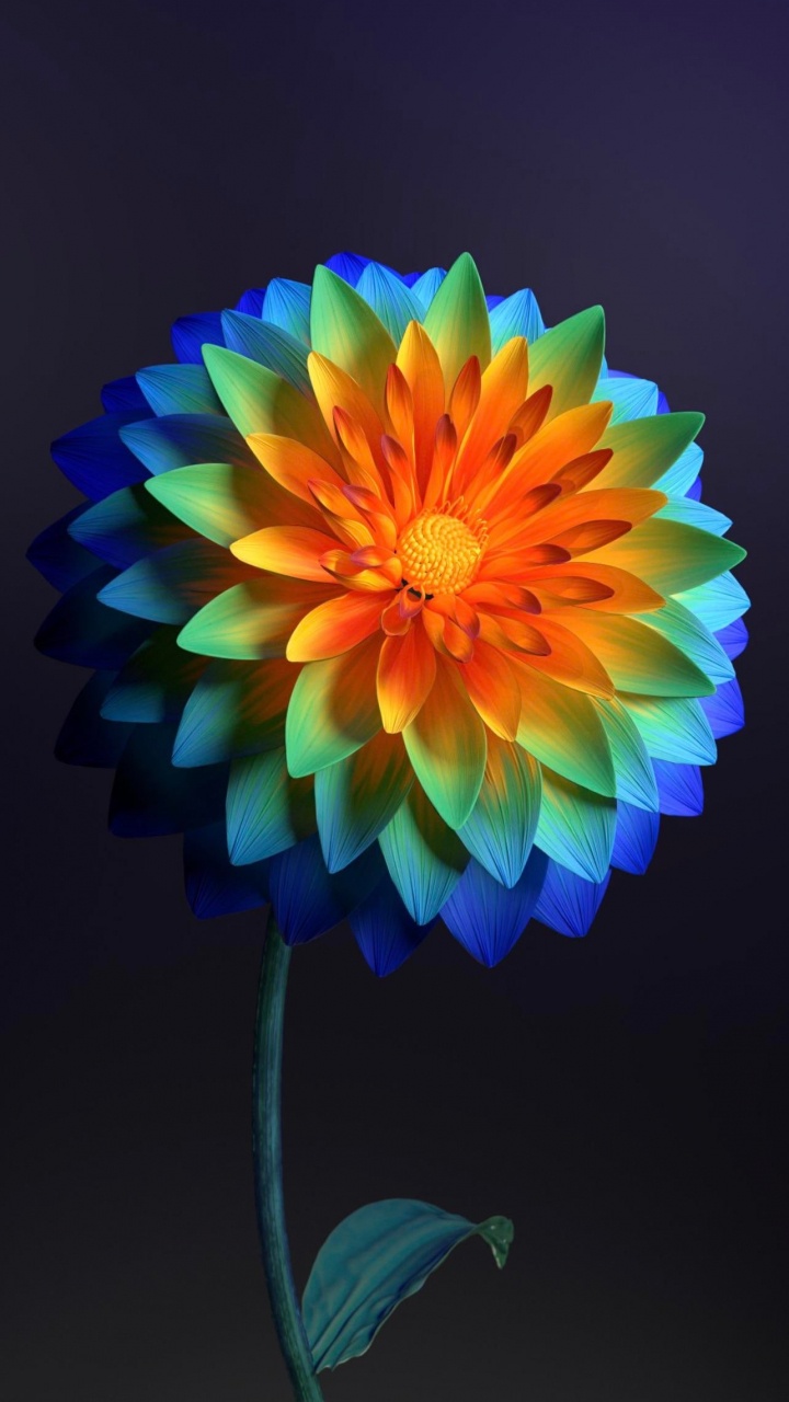 Обои Флора, цветок, растение, лепесток, искусство в разрешении 720x1280