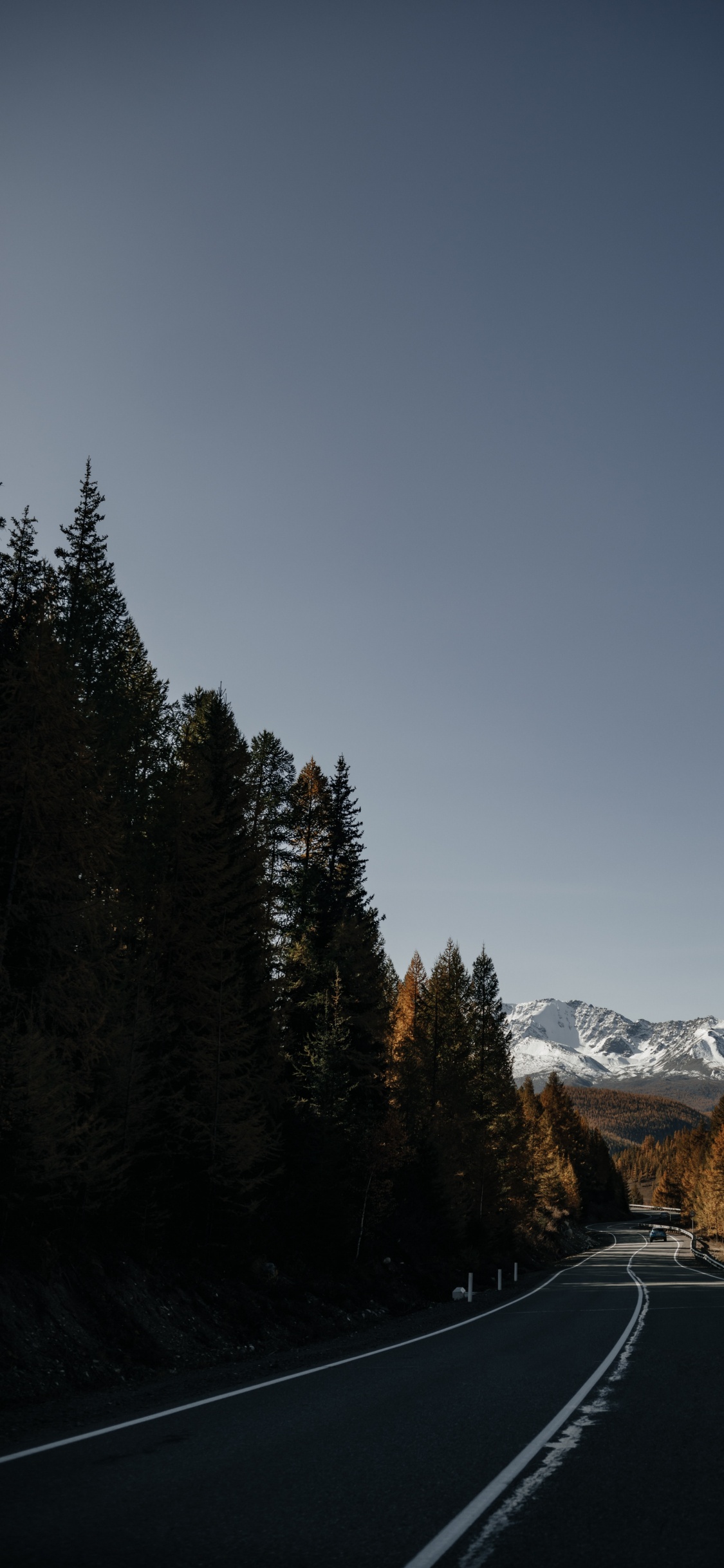 Обои 12 мм ss12kew-al, гора, дерево, облако, растение в разрешении 1125x2436