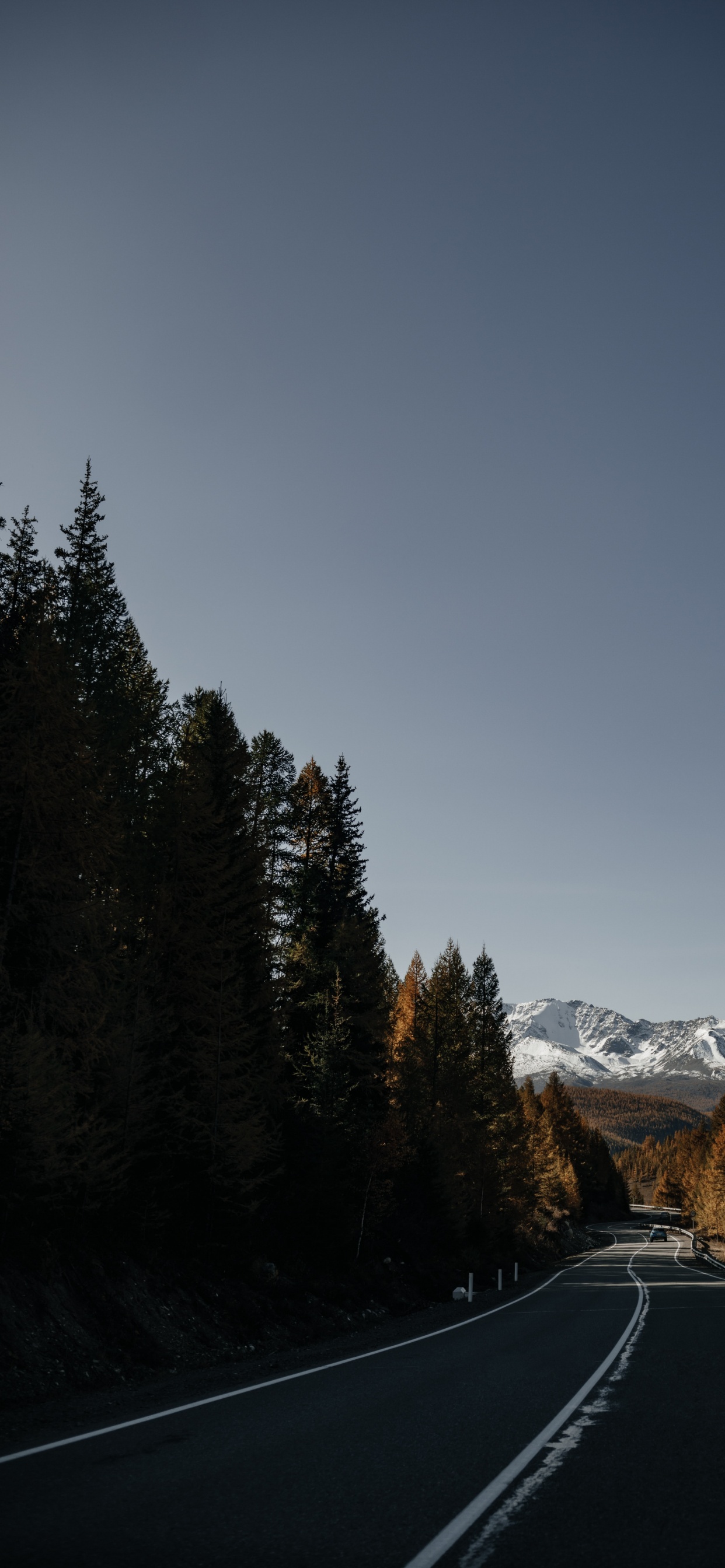 Обои 12 мм ss12kew-al, гора, дерево, облако, растение в разрешении 1242x2688