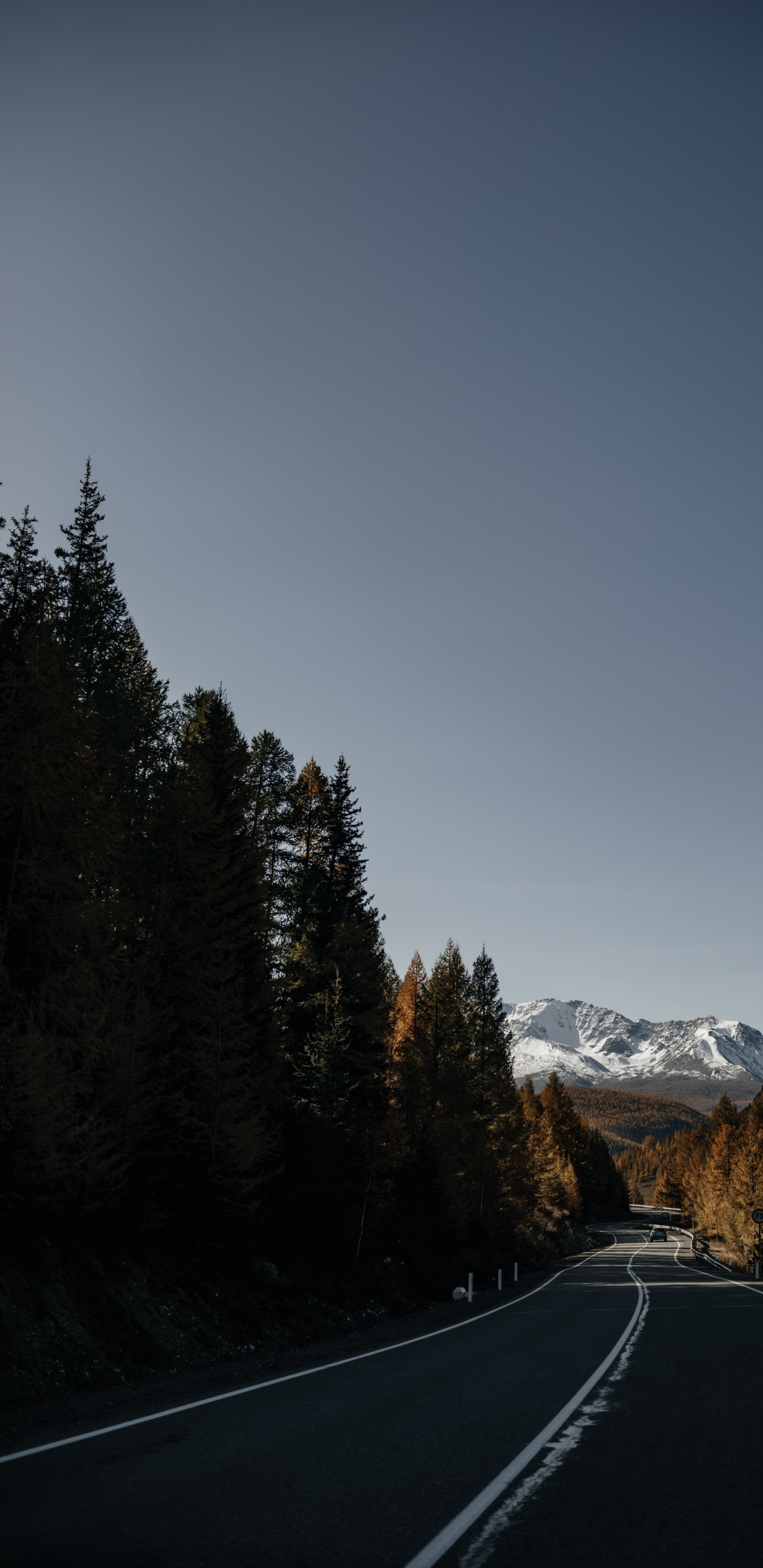 Обои 12 мм ss12kew-al, гора, дерево, облако, растение в разрешении 1440x2960