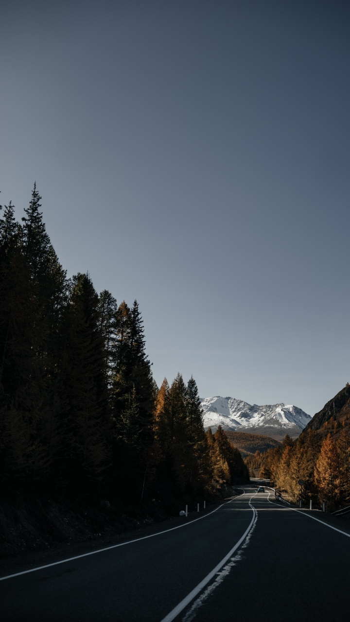 Обои 12 мм ss12kew-al, гора, дерево, облако, растение в разрешении 720x1280