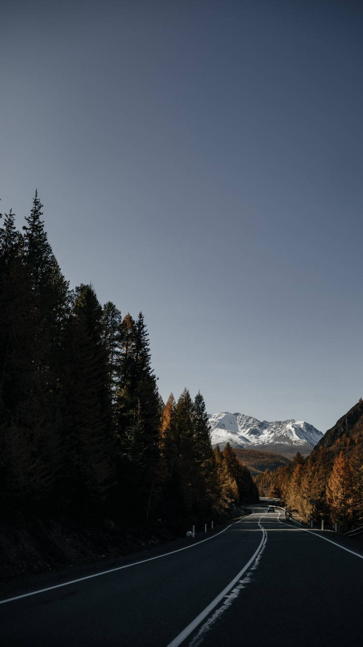 Обои 12 мм ss12kew-al, гора, дерево, облако, растение в разрешении 750x1334