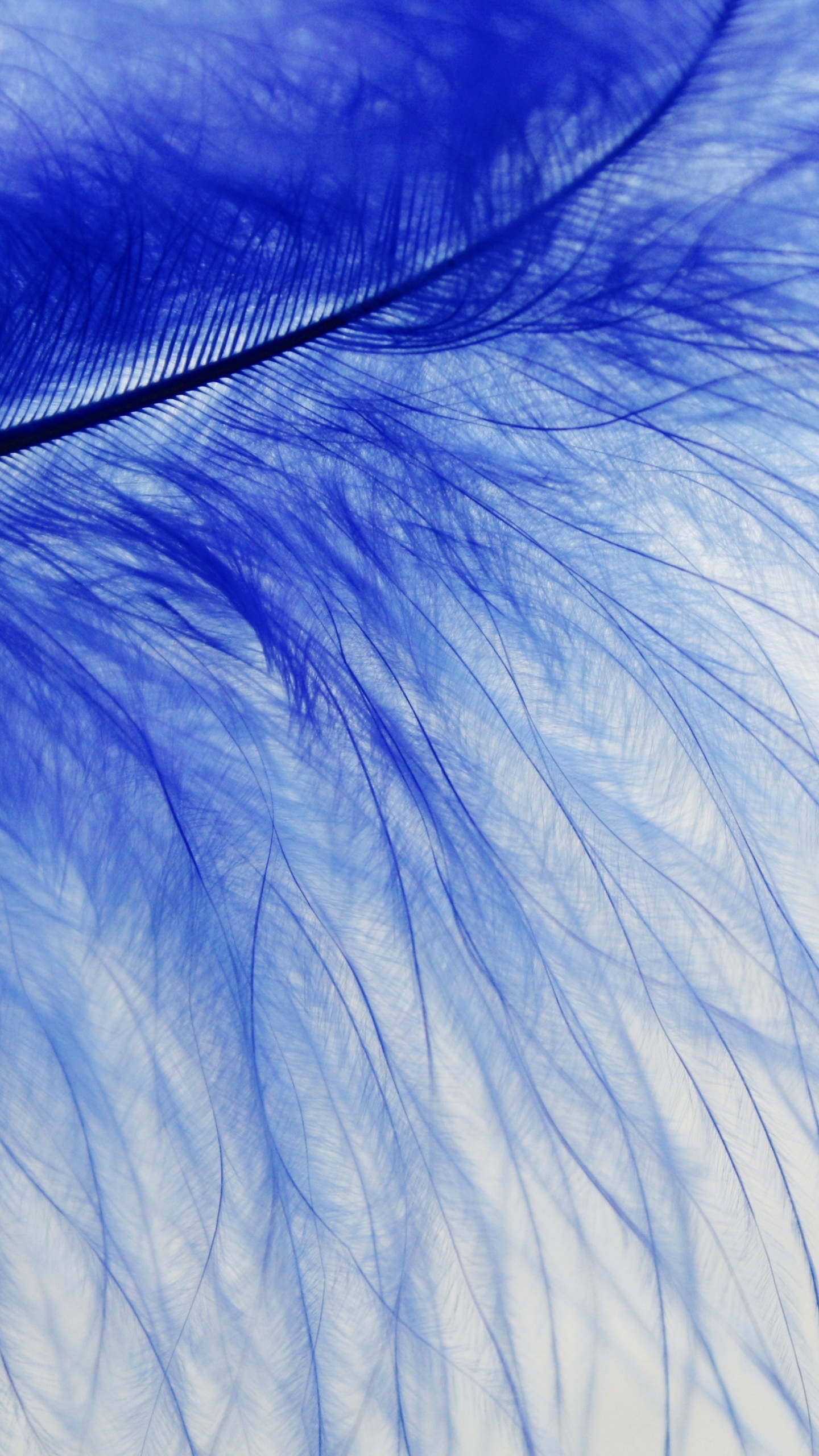 Обои синий, вода, глаз, электрик, волна в разрешении 1440x2560