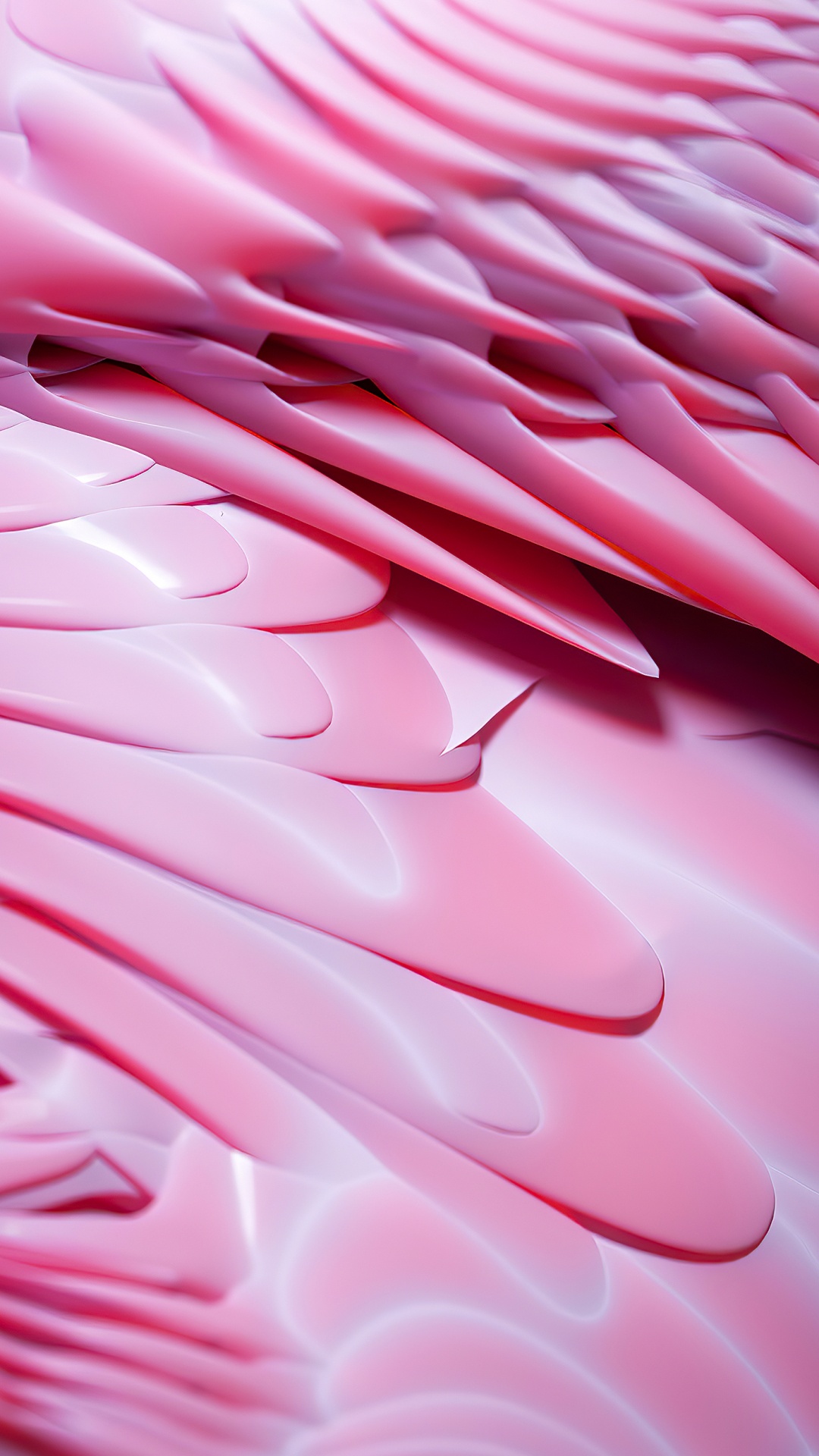 Обои крупный план, математика, геометрия, лепесток, капюшон в разрешении 1080x1920