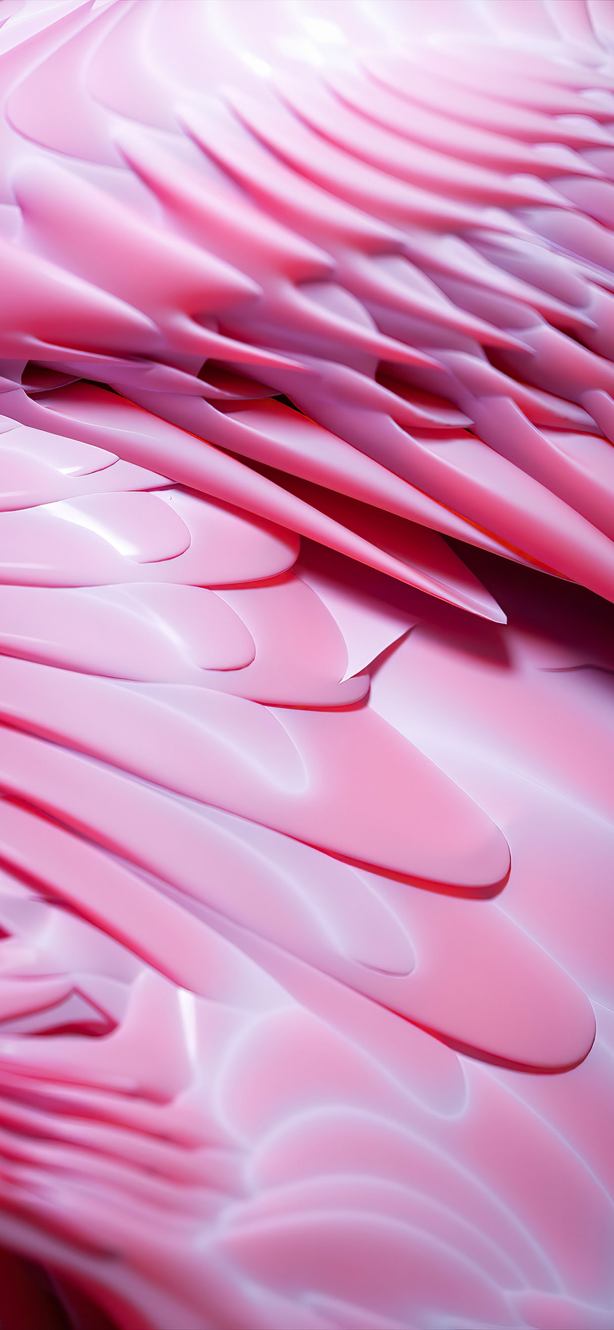 Обои крупный план, математика, геометрия, лепесток, капюшон в разрешении 1242x2688