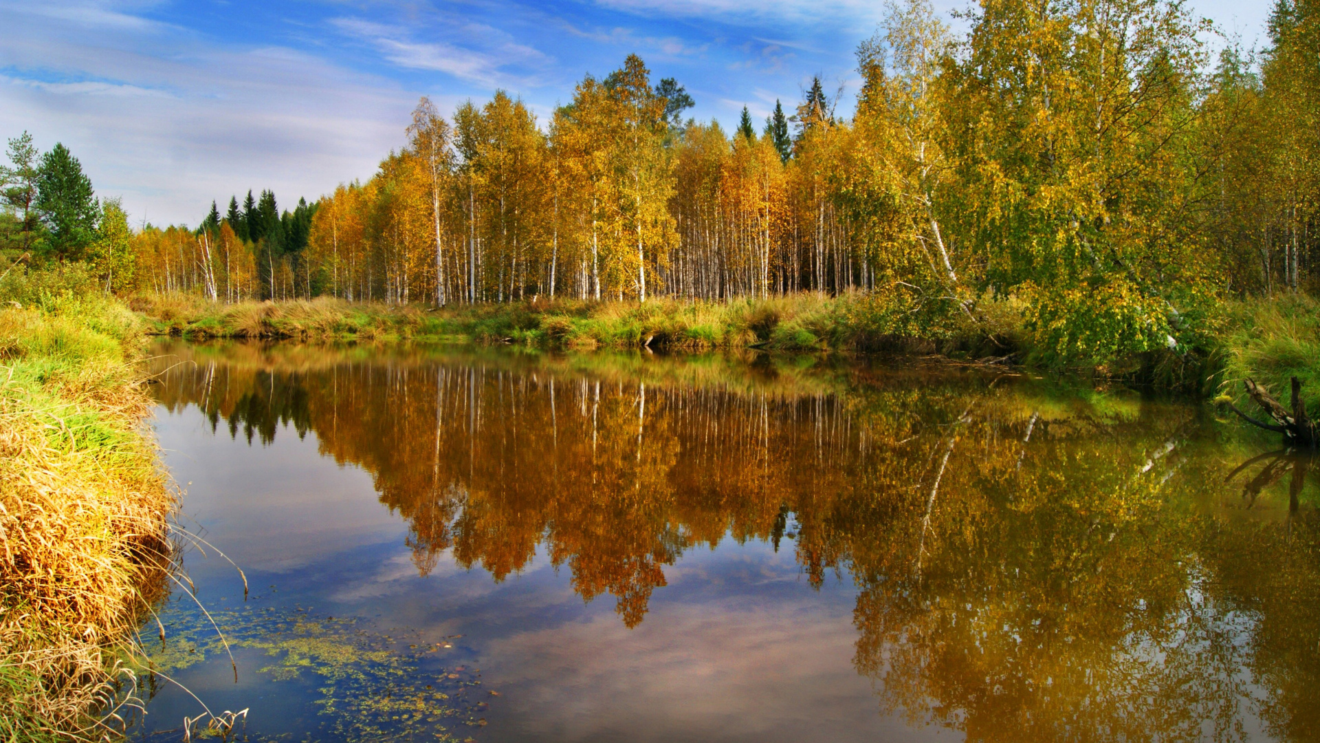 Обои Цифровой Обработки Света, природа, проектор, отражение, вода в разрешении 1920x1080