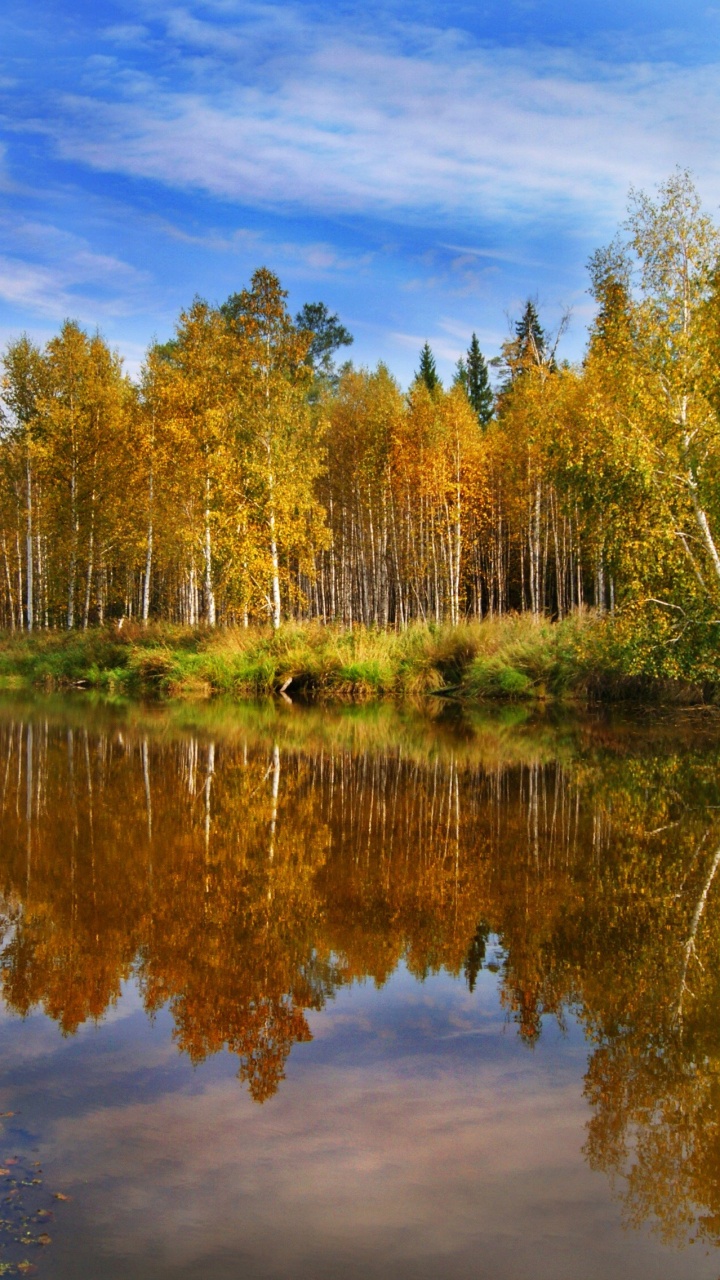 Обои Цифровой Обработки Света, природа, проектор, отражение, вода в разрешении 720x1280