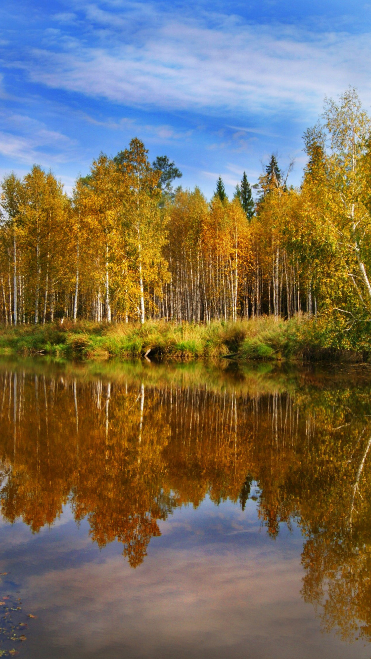 Обои Цифровой Обработки Света, природа, проектор, отражение, вода в разрешении 750x1334