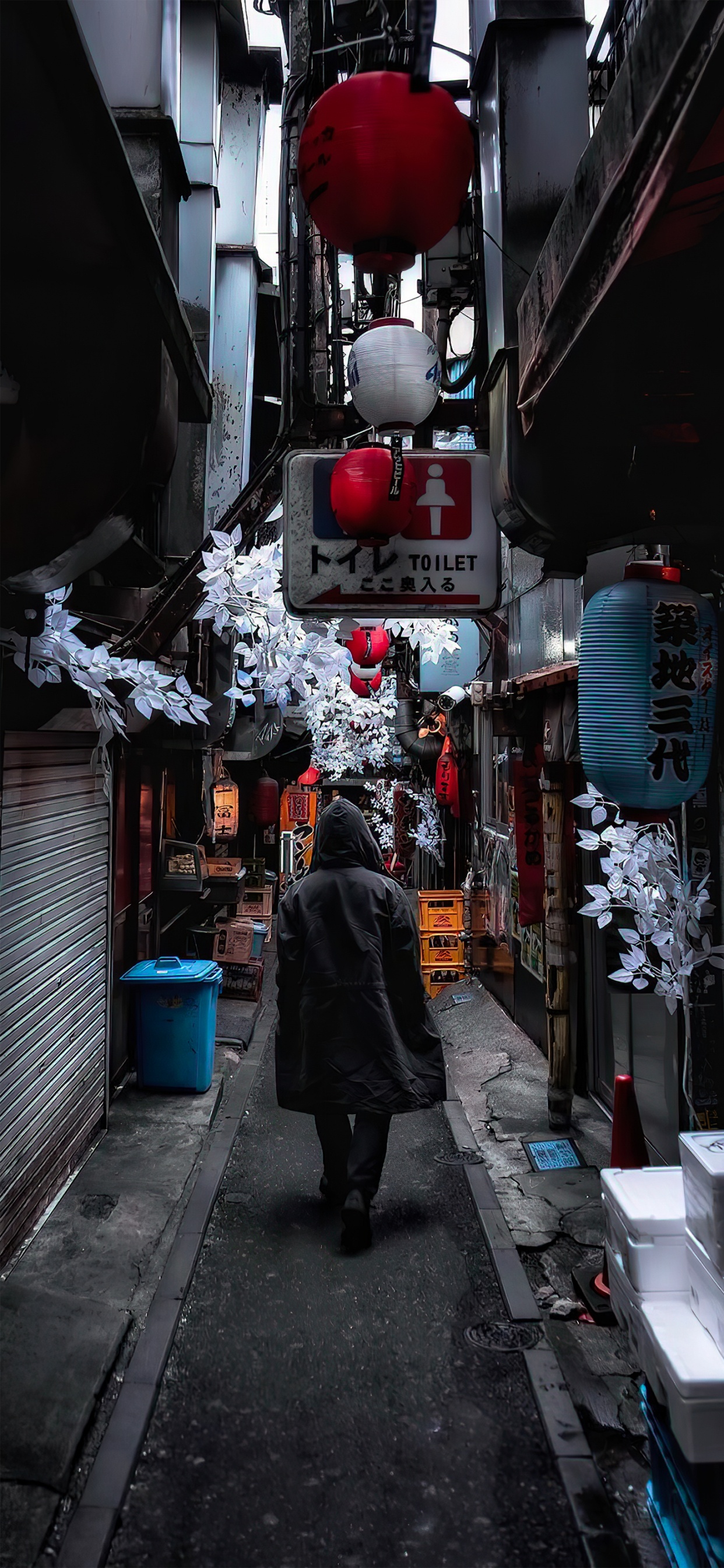 Обои аллея, дорога, здание, инфраструктура, снег в разрешении 1242x2688