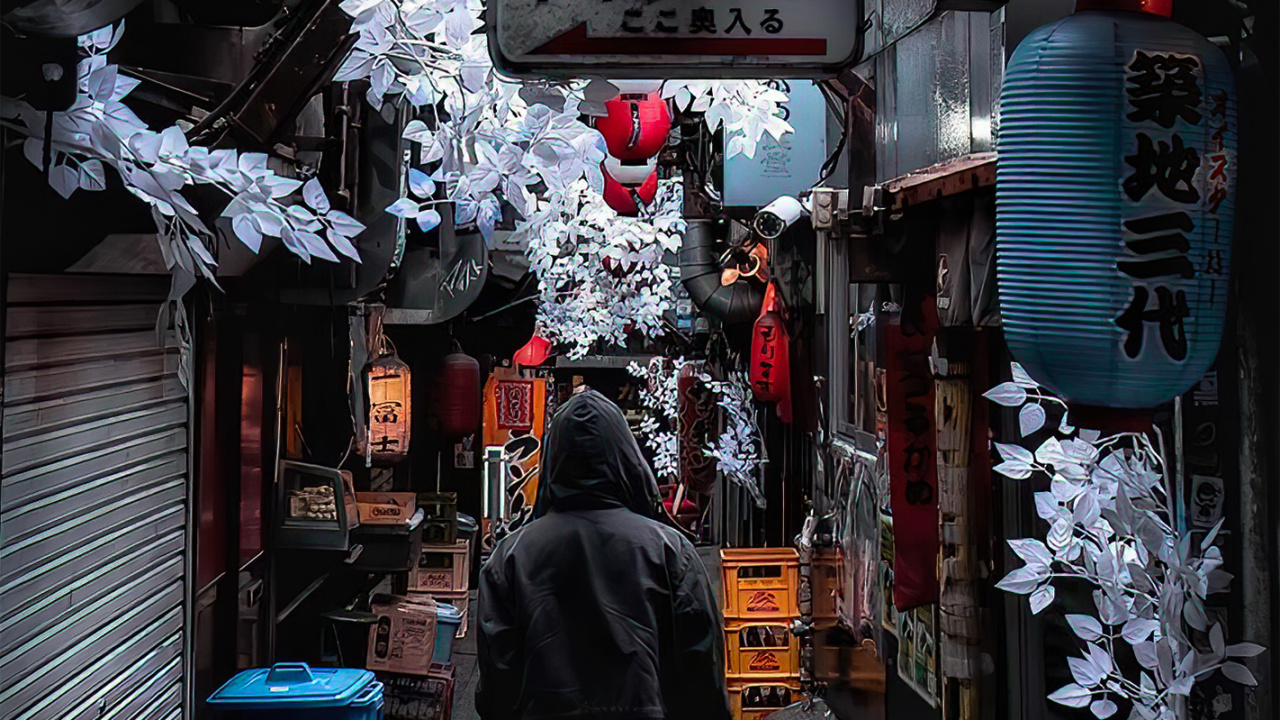 Обои аллея, дорога, здание, инфраструктура, снег в разрешении 1280x720