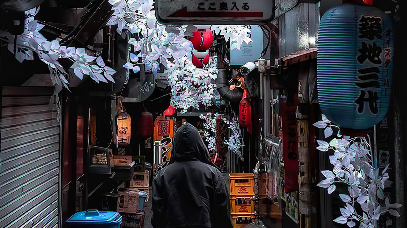 Обои аллея, дорога, здание, инфраструктура, снег в разрешении 1366x768