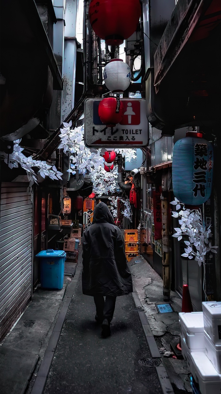 Обои аллея, дорога, здание, инфраструктура, снег в разрешении 720x1280