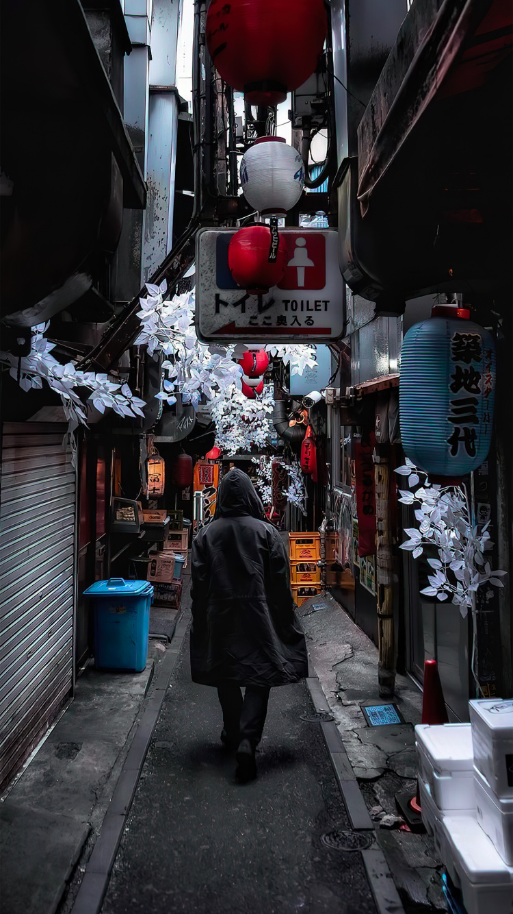 Обои аллея, дорога, здание, инфраструктура, снег в разрешении 750x1334