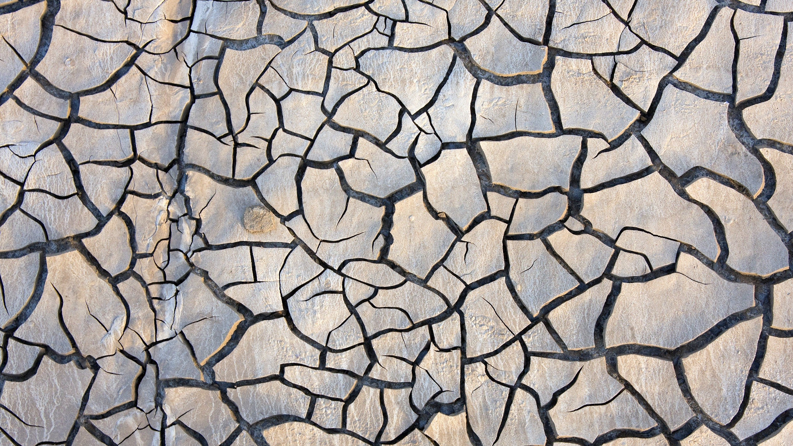 Обои засуха, узор, почва, дизайн, дорожное покрытие в разрешении 2560x1440