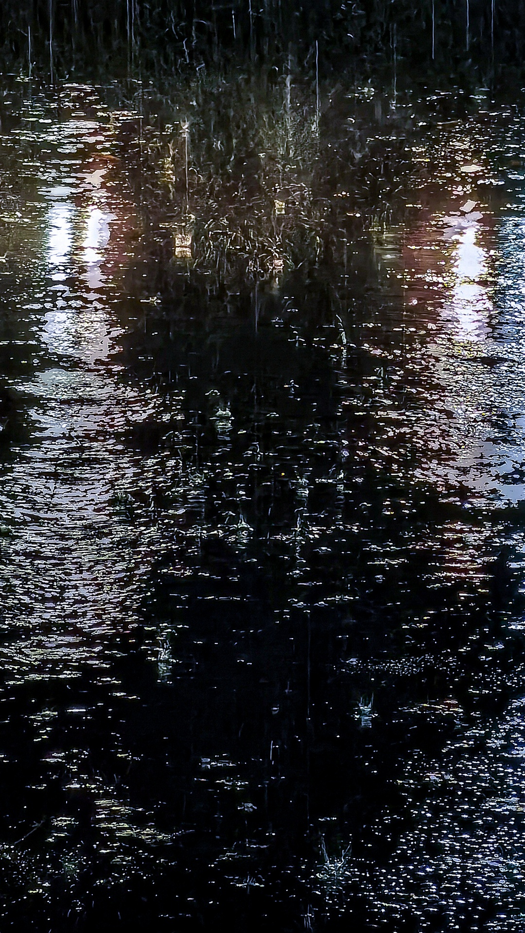 Обои отражение, гидроресурсы, вода, жидкий, жидкость в разрешении 1080x1920